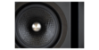 Davis Acoustics Krypton C Noyer (photo supp. n°5)