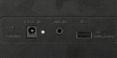 Fender Newport Noir