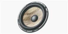 Focal 300 ICW 4