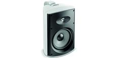 Focal 100 OD8 Blanc
