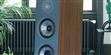 Focal Chora 826 Bois foncé (photo supp. n°7)