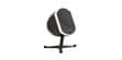 Focal Bird Noir