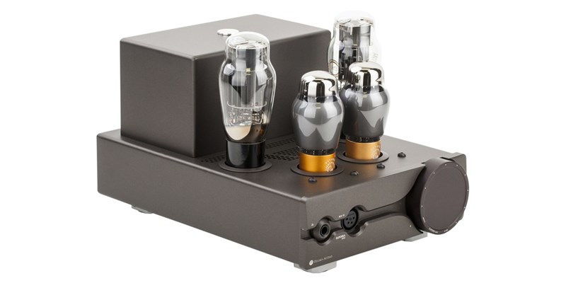 Feliks Audio Euforia Evo