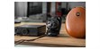 FiiO FT3 32 Ohms (photo supp. n°6)