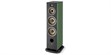 Focal Aria Evo X N°4 Vert (photo supp. n°1)