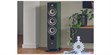 Focal Aria Evo X N°4 Vert (photo supp. n°2)