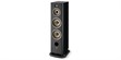 Focal Aria Evo X N°4 Noir laqué (photo supp. n°2)