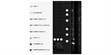 Hisense 65U7SE (photo supp. n°9)