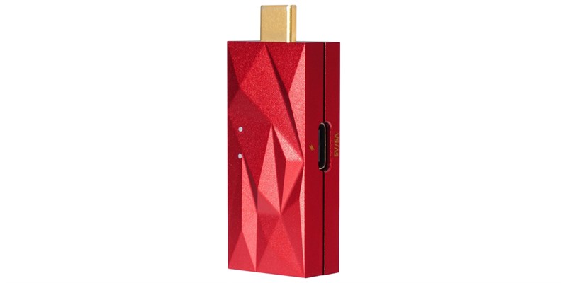 ifi Audio iDefender Max 3.0 TYPE C > TYPE C