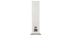 Jamo S805 Bois Blanc