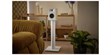 JBL 240B Bois clair (photo supp. n°2)