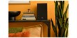 JBL 250B Bois noir (photo supp. n°2)