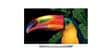 LG Electronics 65EF950V 