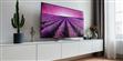 LG Electronics 75SM9900 (photo supp. n°10)
