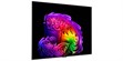 LG Electronics OLED55G6 (photo supp. n°3)