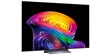 LG Electronics OLED65C6 (photo supp. n°1)