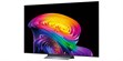LG Electronics OLED65C6 (photo supp. n°5)