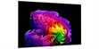 LG Electronics OLED65G6 (photo supp. n°2)