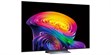 LG Electronics OLED77C6 (photo supp. n°1)