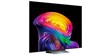 LG Electronics OLED77C6 (photo supp. n°2)