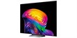 LG Electronics OLED77C6 (photo supp. n°4)