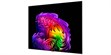 LG Electronics OLED77G6 (photo supp. n°4)