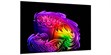 LG Electronics OLED83G6 (photo supp. n°3)