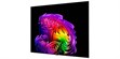 LG Electronics OLED83G6 (photo supp. n°4)