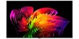 LG Electronics OLED83W6 (photo supp. n°2)