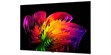 LG Electronics OLED83W6 (photo supp. n°4)