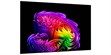 LG Electronics OLED97G6 (photo supp. n°2)