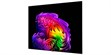LG Electronics OLED97G6 (photo supp. n°5)