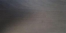 Kairos Easy Orme Foncé et Verre Gris Clair