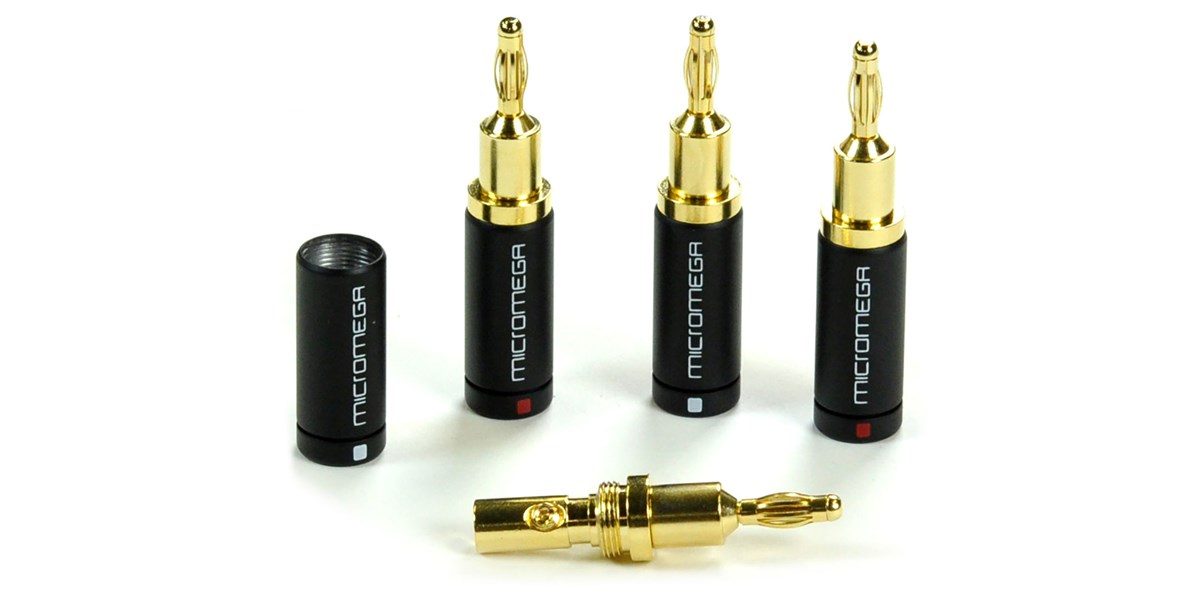 Micromega Boîte de 4 fiches bananes