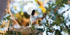 Netgear Arlo VMS3130 (Base + 1 caméra)