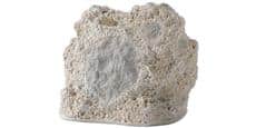 Niles RS6 Corail Blanc