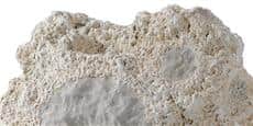 Niles RS6 Corail Blanc