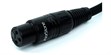 Norstone Arran XLR (2 x 1 m) (photo supp. n°4)