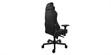 Oraxeat TK900 Noir (photo supp. n°6)