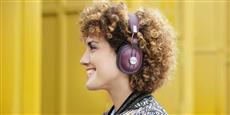 Panasonic RP-HTX80BE Rouge-bordeaux