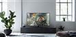Panasonic TX-65FZ800E (photo supp. n°6)