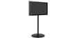 Paxton Elio Noir Brillant