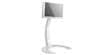 Paxton Xelo Blanc Brillant