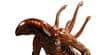 Sideshow Collectibles Alien (photo supp. n°1)
