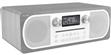 Pure Evoke C-D6 Chêne Gris