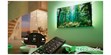 Philips 50PQS8701 (photo supp. n°15)
