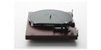 Pro-ject Debut Carbon Evo II Pick It MM EVO Bordeaux satiné (photo supp. n°2)