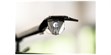 Pro-ject Pick It Pro B (photo supp. n°2)
