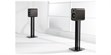 Q Acoustics 3020C Noyer (photo supp. n°3)