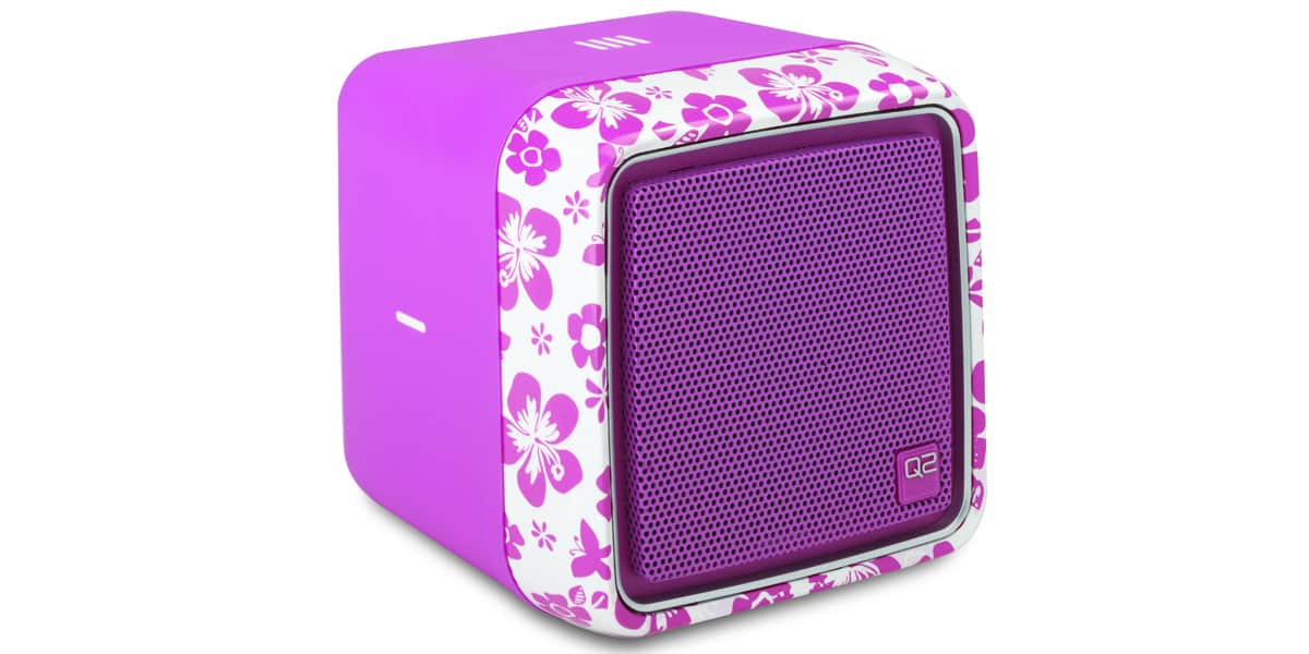 Q2 Radio WiFi Rose